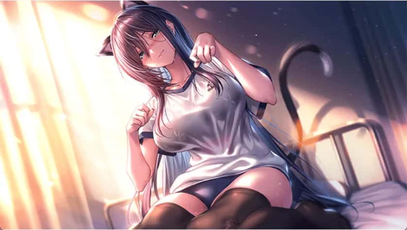 甜蜜女友2+ アマカノ2+精翻 版游戏封面